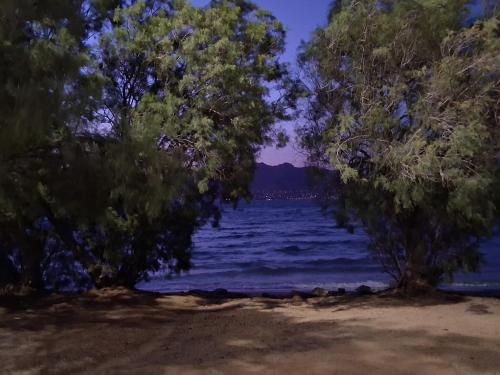 AMMOS, Salamina (foto 4)
