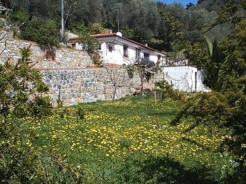  Casa Uliveto in Diano San Pietro