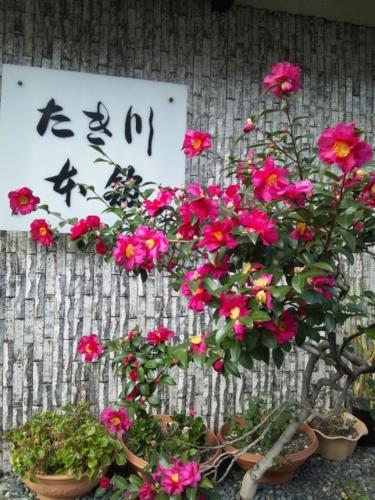 Takigawa Ryokan – Kyoto, IL
