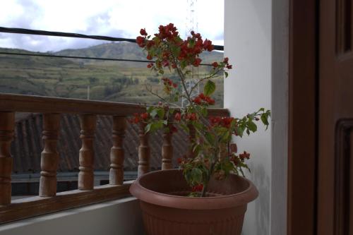 Hospedaje El Castillo in Nuevo Tingo