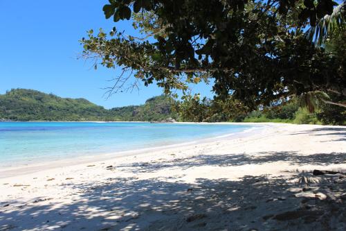 Green Blue Beach House