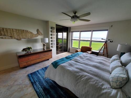 Sand Dollar 101 in St. Augustine, USA