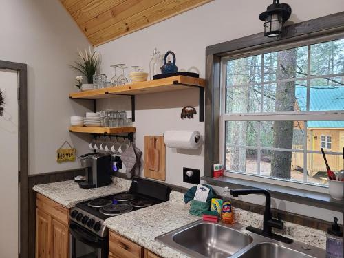 Smoky Mountain Retreat - 2 Cabins in Cosby (TN)