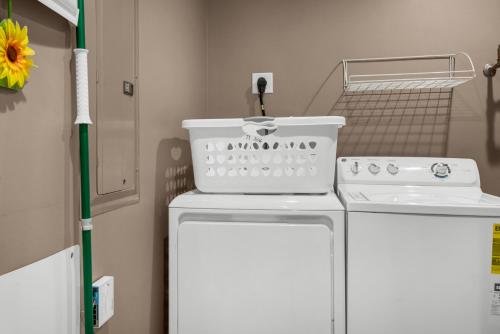 Treasure Island 0506 - image 43