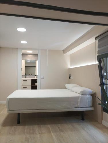 Exotique Santander