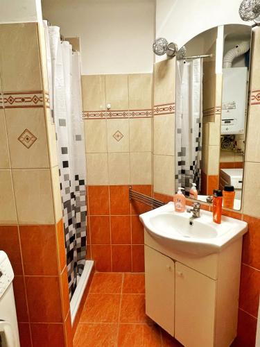 One-Bedroom Apartment image 10