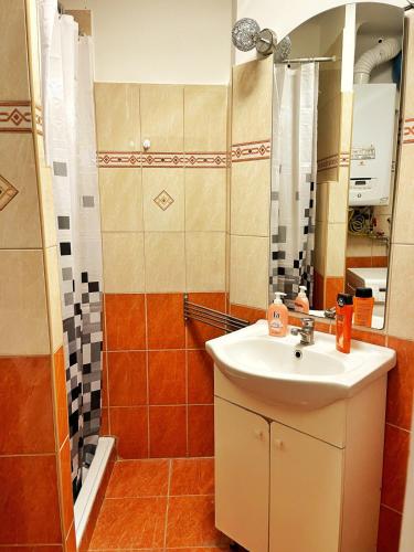 One-Bedroom Apartment image 3