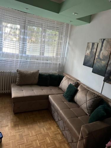 Exit festival apartment