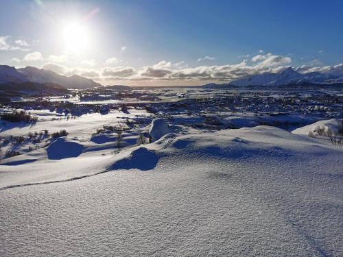 Lofoten Apartment 02 in Leknes