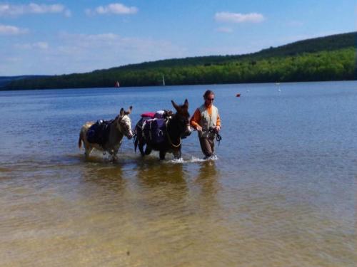 A környék, Comet Glamping Tent, Ardennes in Signy-l'Abbaye