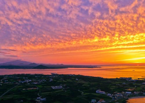 ［牛島（ウド）］一軒家（100m²）｜ 3ベッドルーム／1バスルーム (Biyangdong godongjip) in 牛島（ウド）