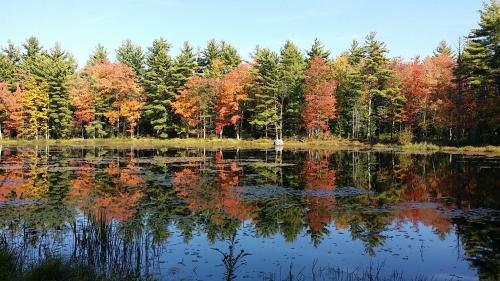 Pet-friendly, secluded, and peaceful pondside home near to Keene and Rindge NH, Fitzwilliam