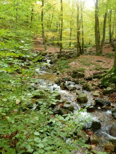 Gite des Bois de Spa