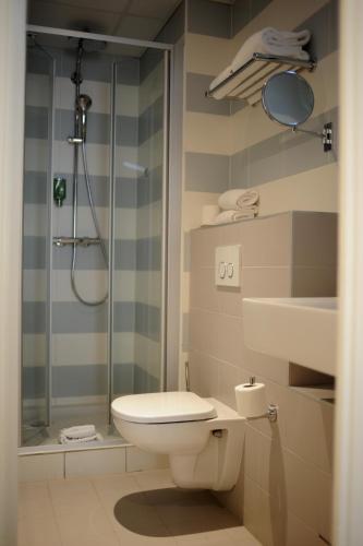 Hotel Albert 1er, Toulouse (photo 4)