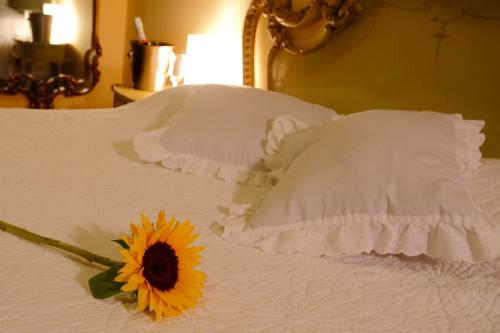 Bed & Breakfast - La casa de ceci