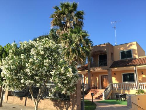 Le Palme B&B