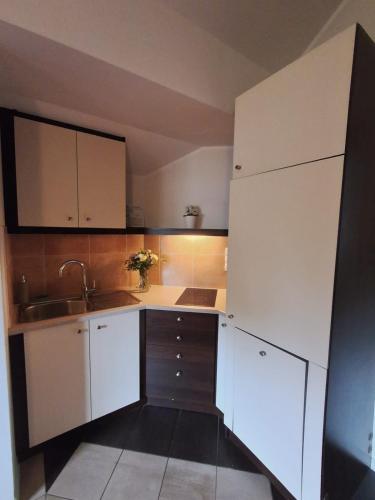 Apartamenty Borkowo