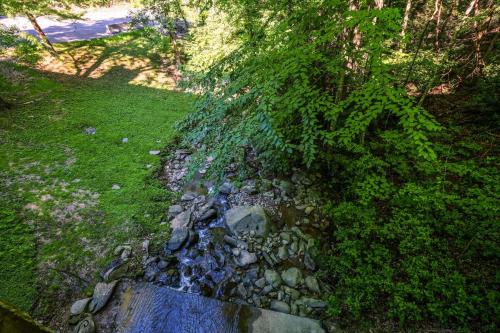 Bear Creek 167 - image 12