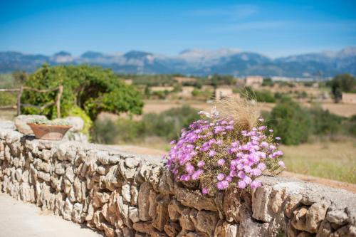 Sa Tanca De Can Vicens gîte à louer Sencelles