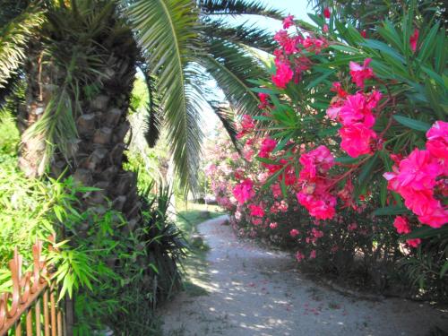 Gipsy Chic chambre d'hôte Les Baux-de-Provence
