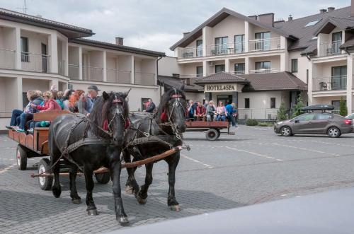 Hotel Spa Rusałka - image 7