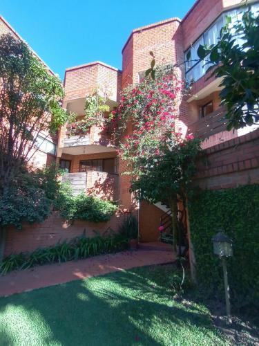 Green Garden & Balcon Cañada Strongest - image 3