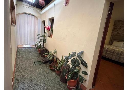 Casa Familiar Los Gringas, Antigua Guatemala (foto 6)