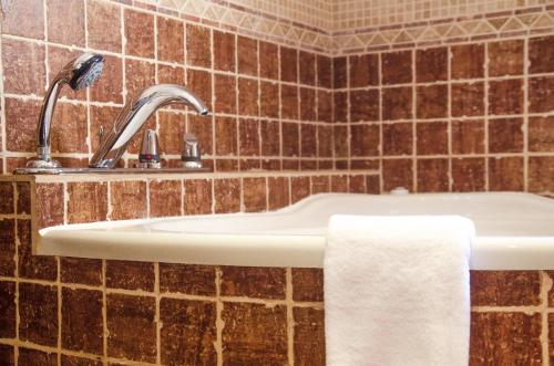 Villa Conmigo Bed & Breakfast - image 10