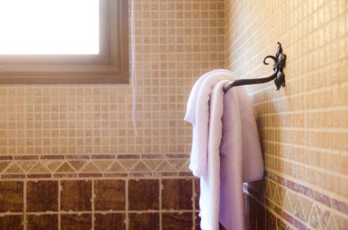 Villa Conmigo Bed & Breakfast - image 6