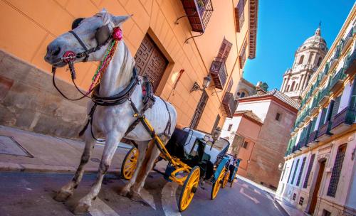 Villa Conmigo Bed & Breakfast - image 13