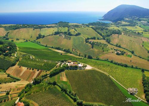 Agriturismo Le Vigne del Conero - image 4