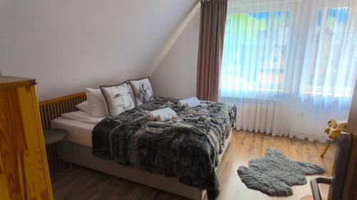 Willa Owca i Baran – Zakopane, IA