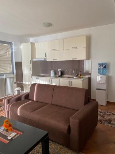 Comfort One-Bedroom Apartment with Sea View  image 6