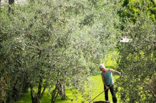 Agriturismo Vin e Amor