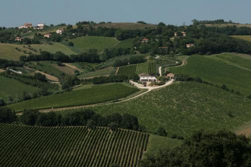 Agriturismo Le Vigne del Conero - image 3