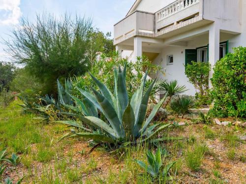 Apartments in Barbat/Insel Rab 17610