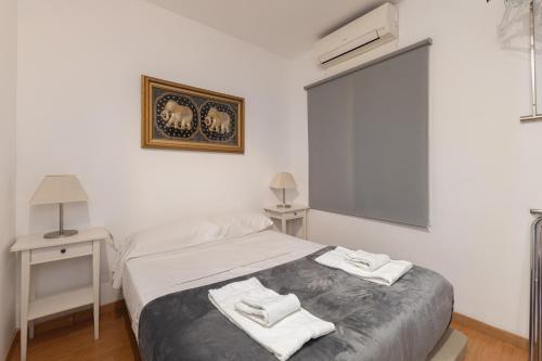 Rambla Cat · Penthouse with terrace, Barcelona (fotografie 10)