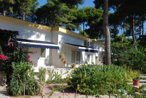 Hotel La Vela in San Domino