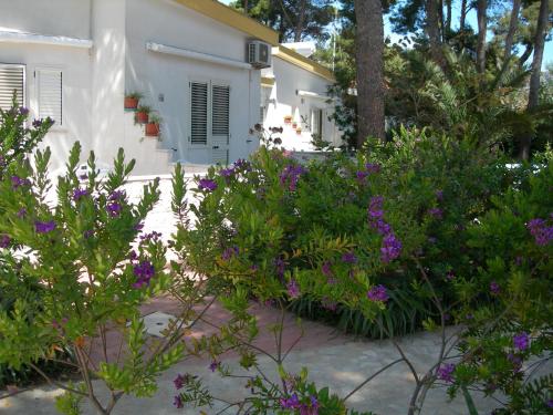Hotel La Vela in San Domino
