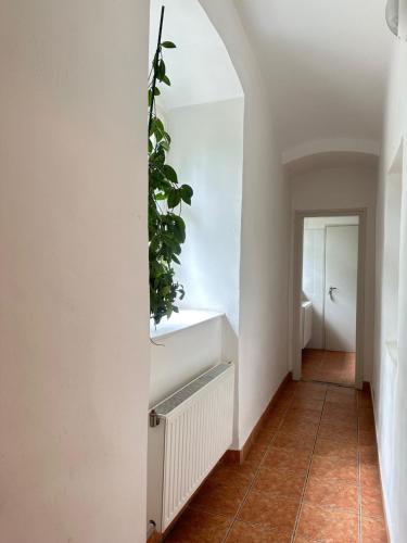 Stúdió apartman (Studio apartman) in โควากัวร์