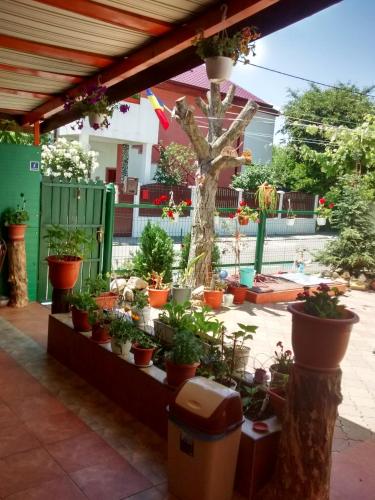 Casa Carlo - image 5
