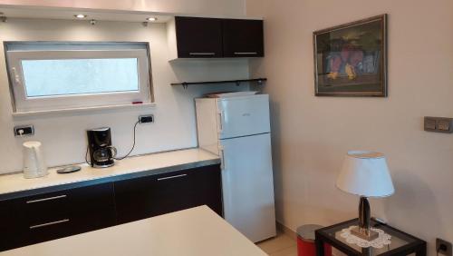 Apartment Svoboda in Gornji Karin