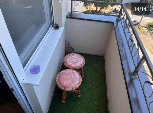 貝爾格勒 Fimiso 4星级 单人房 泳池