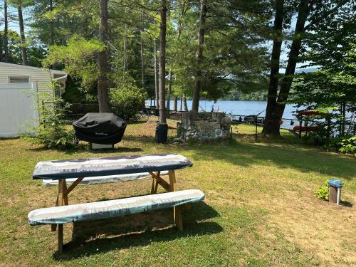 Adirondack Waterfront Cabin Upper Hudson Tributary in Lake Luzerne, USA