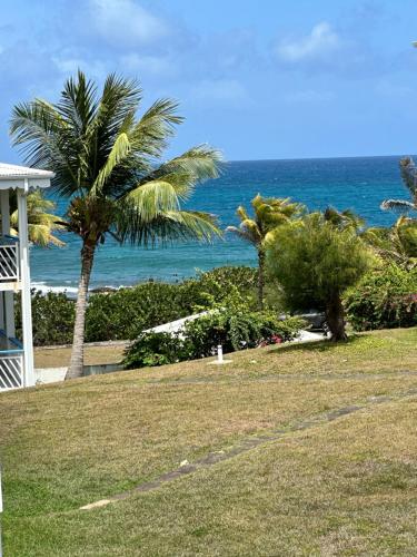 Ti Bel Soley climatisé vue mer avec réservoir d'eau - Location saisonnière - Saint-François