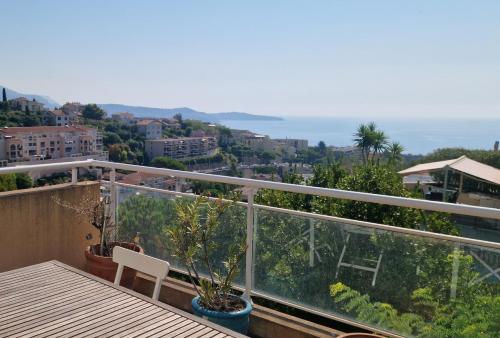 Sea-view rooftop terrace apartment, Nice, Nice (fotografie 2)