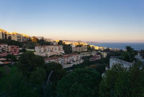 Sea-view rooftop terrace apartment, Nice, Nice (fotografie 6)