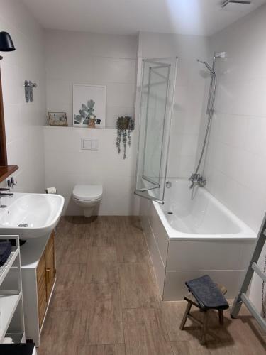 浴室, Ländliche Fewo Wildblume, 4 km zum Stausee (Landliche Fewo Wildblume, 4 km zum Stausee) in 哈普爾格