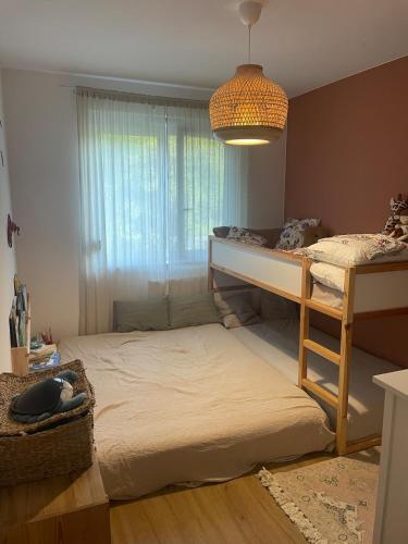 Villa Roma Apartament z parkingiem, zabawkami, kawą Wrocław, Wrocław (photo 4)