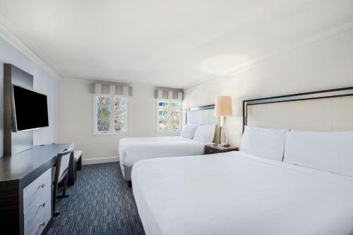 The Normandy Hotel - image 6